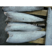 Oilfish for Sale